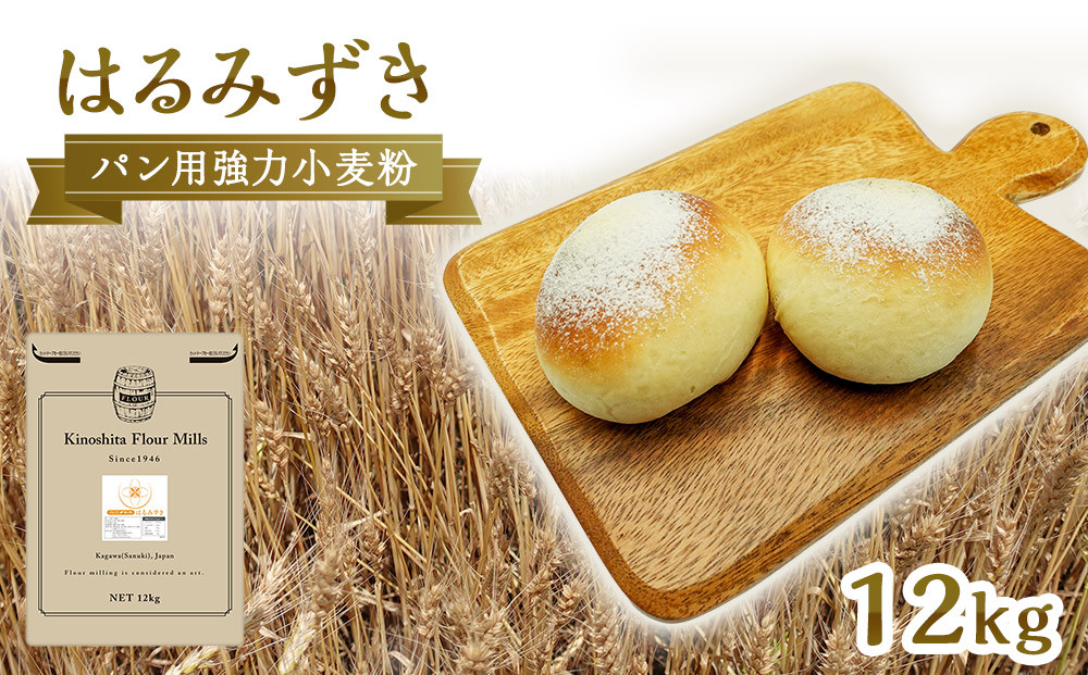 パン用&nbsp;強力小麦粉「はるみずき」12kg【&nbsp;小麦&nbsp;小麦粉&nbsp;粉&nbsp;パン用&nbsp;強力小麦粉&nbsp;穀物&nbsp;こむぎ&nbsp;こむぎこ&nbsp;人気&nbsp;おすすめ&nbsp;香川県&nbsp;坂出市】
