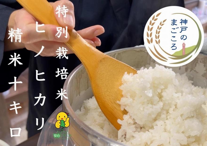 神戸のまごころ　精米　ヒノヒカリ　10kg（5kg×2袋）　NEW!　特別栽培米