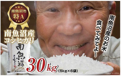 南魚沼産 コシヒカリ 30kg (5kg×6袋) 壱成 農家のこだわり 新潟県
