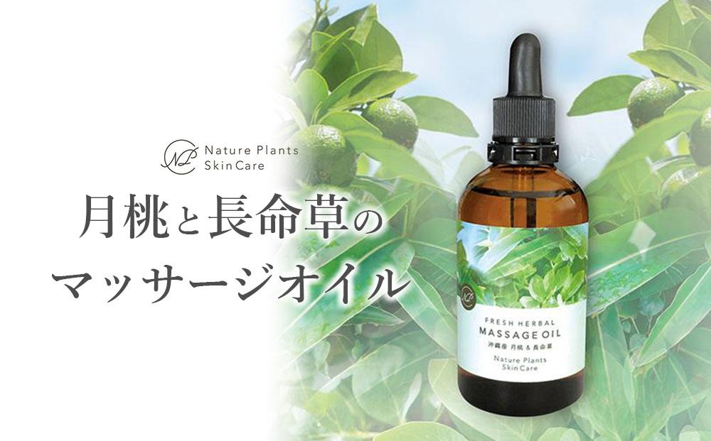 【Nature Plants Skin Care】月桃と長命草（ボタンボウフウ）のマッサージオイル