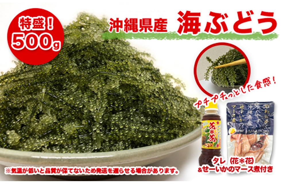 南城市産海ぶどう500ｇ