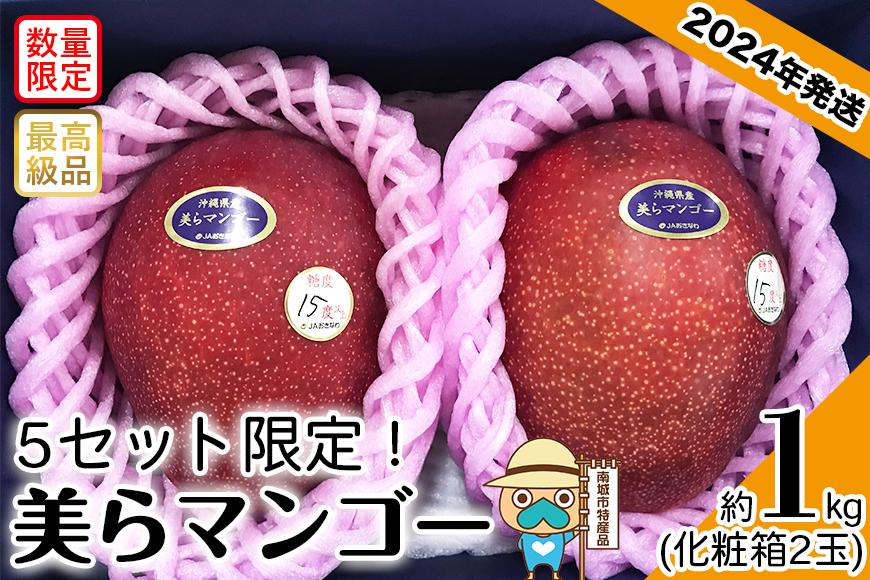 [ふるぽ]　2024年発送・5セット限定】完熟美らマンゴー約1kg（化粧箱）2玉　JTBのふるさと納税サイト