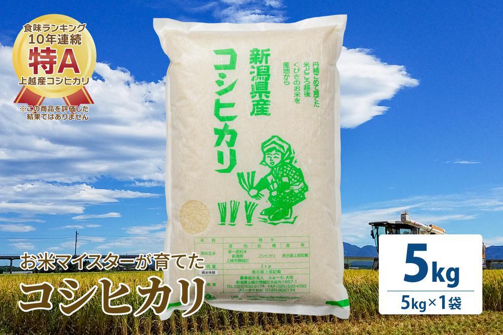 JTBのふるさと納税サイト　お米マイスターが育てた特別栽培米　コシヒカリ　5kg(5kg×1袋)白米　上越頸城産　令和5年産　[ふるぽ]