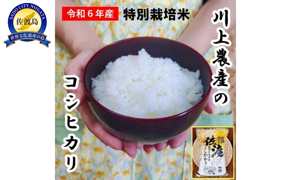 佐渡 川上農産のコシヒカリ（5kg）
