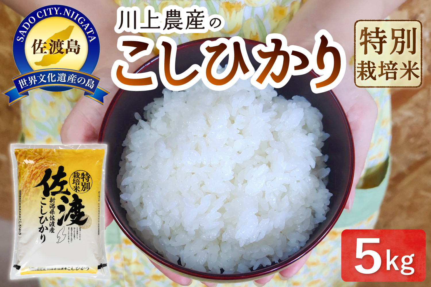 令和7年産 佐渡 川上農産のコシヒカリ（5kg）