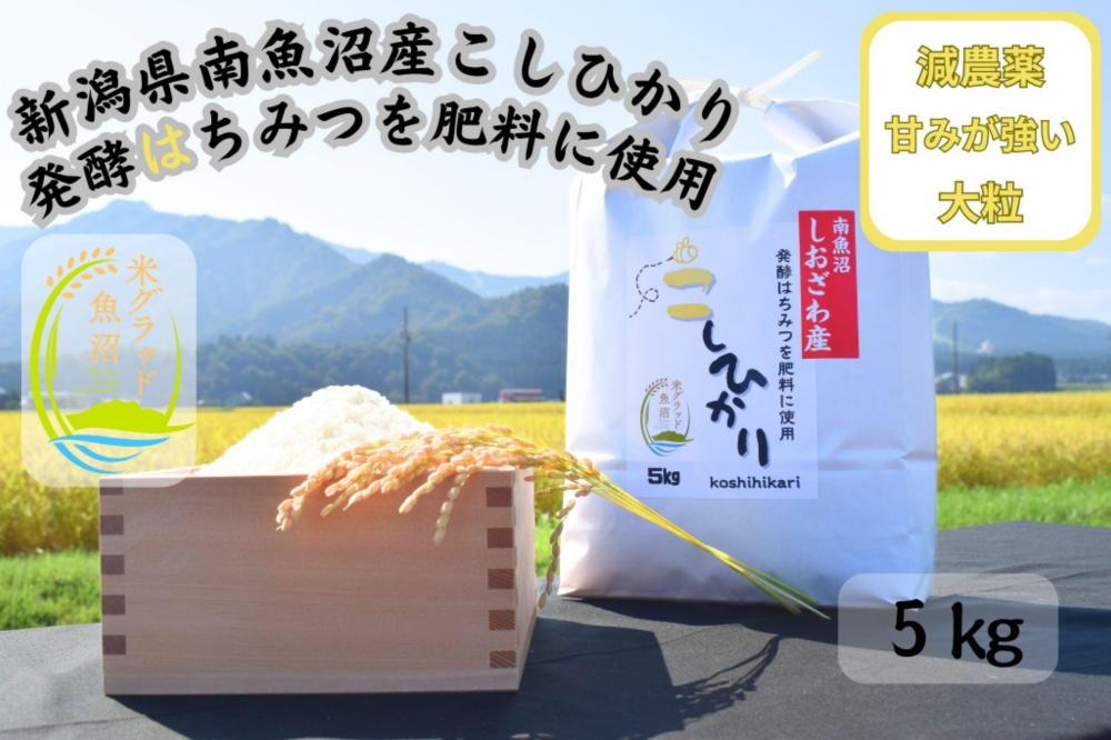 新潟県南魚沼産（塩沢地区）はちみつ米コシヒカリ&nbsp;5kg※蜂蜜発酵液肥料栽培