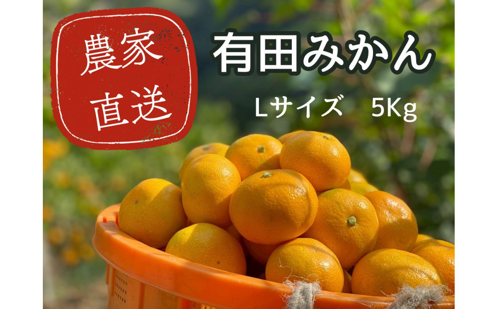 有田みかん&nbsp;L&nbsp;5kg&nbsp;贈答用&nbsp;乳酸菌栽培