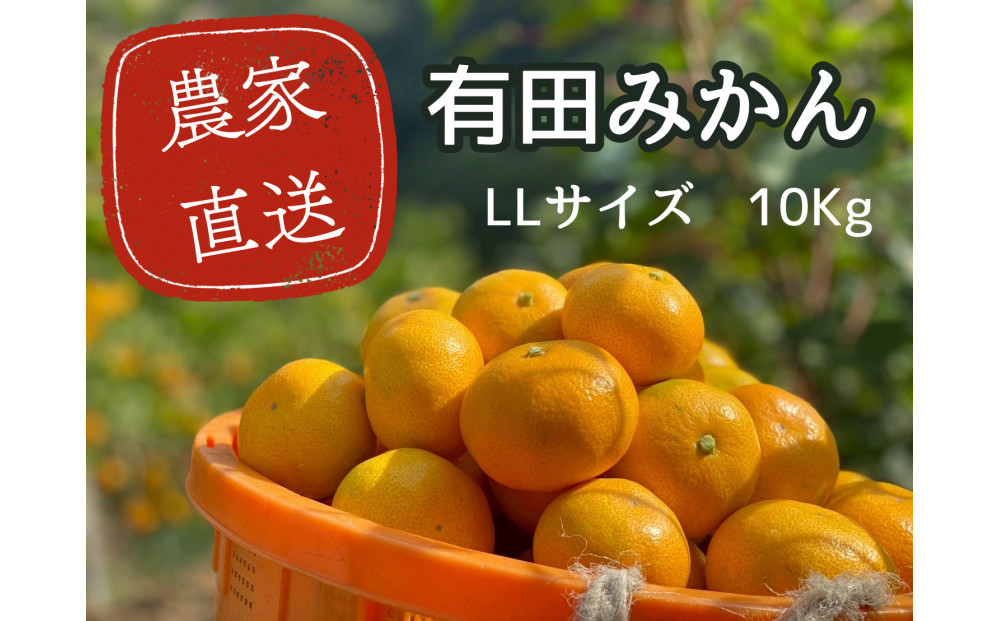 有田みかん&nbsp;LL10kg&nbsp;贈答用&nbsp;乳酸菌栽培