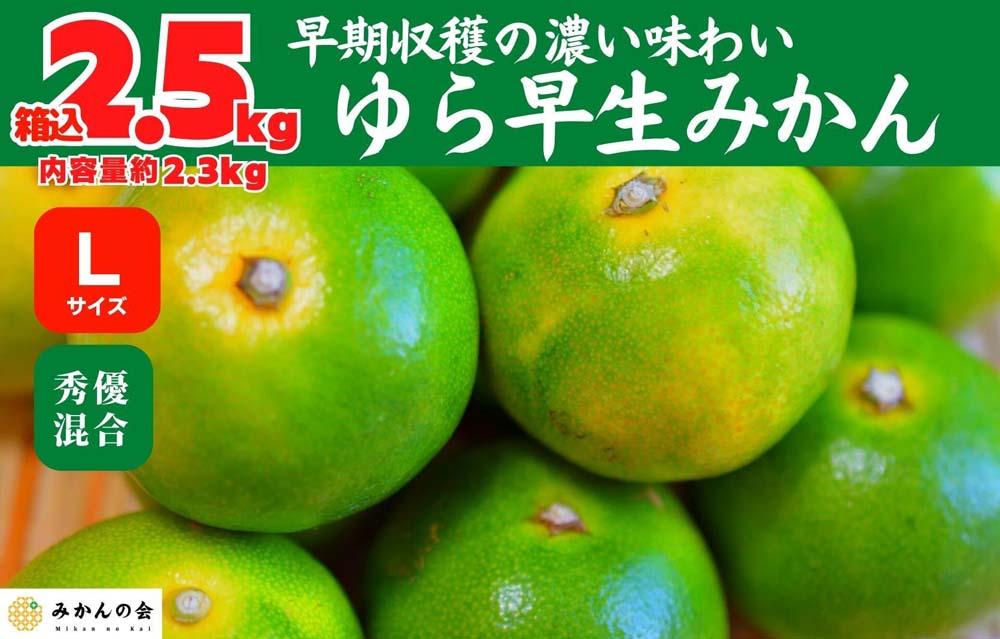 ゆら早生みかんLサイズ 秀優混合 2.5kg (内容量2.3kg) 箱込 Lサイズ 秀優混合 有田みかん 和歌山県産 【みかんの会】