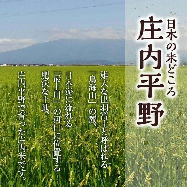 令和5年産【精米】特別栽培米 つや姫 10kg(5kg×2袋) SA＜酒田倉庫