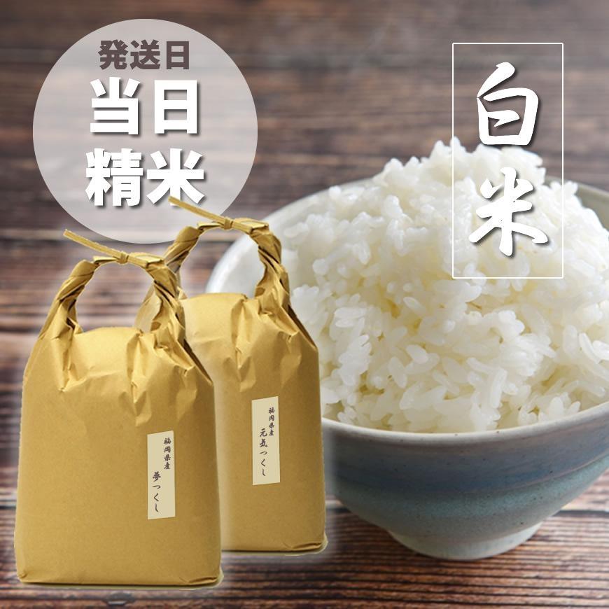 ふるさと納税 令和5年産 福岡県産米食べ比べ（白米）「夢つくし」と