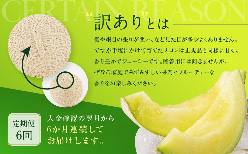定期便6回】【訳あり】御前崎市産アローマメロン 1玉 6ヶ月連続お届け