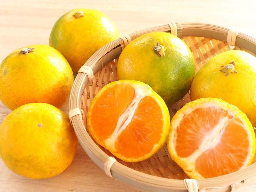 和歌山の農園直送！北村農園のゆら早生みかん5kg　