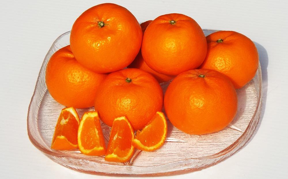 厳選！はれひめ「みかんの甘み」と「オレンジの香り」の新品種！（約3kg）フルーツ　JTBのふるさと納税サイト　[ふるぽ]　お取り寄せ　産地直送