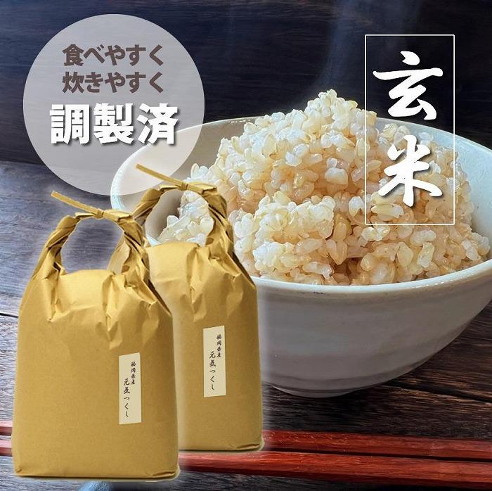 福岡県産【特A】評価のお米「元気つくし」5kg×2袋 [10kg] [玄米]【お米 コメ 玄米 ブランド米 元気つくし ごはん ご飯 おにぎり お弁当 食品 福岡県産 送料無料 DV031】