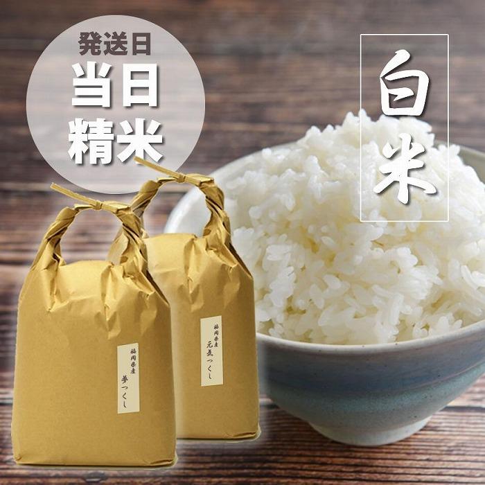 福岡県産【特A米】元気つくし【A米】夢つくしの食べ比べ 各5kg×2袋 [10kg] [白米]【お米 コメ 白米 ブランド米 元気つくし 夢つくし 食べ比べ ごはん ご飯 おにぎり お弁当 食品 福岡県産 送料無料 DV034】