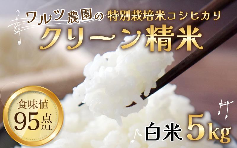 令和5年産】ワルツ農場のコシヒカリ クリーン精米 5kg 特別栽培米 ...