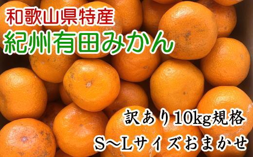 [訳あり]和歌山有田みかん約10kg(S～Lサイズいずれかお届け）★2024年11月中旬頃より順次発送【TM82】