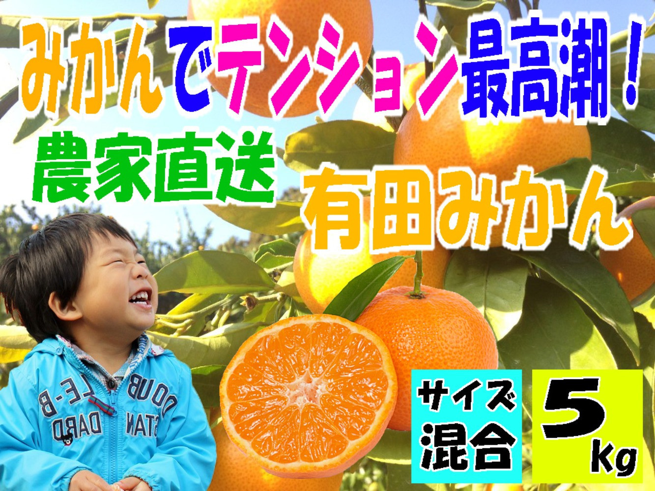 有田みかん5キロ　サイズ混合