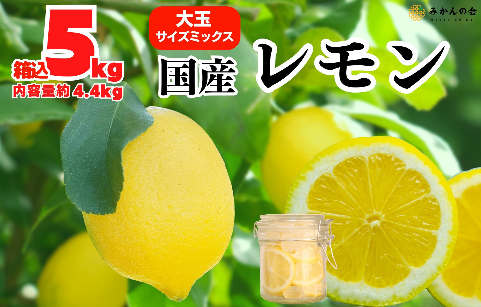 レモン&nbsp;大玉&nbsp;国産&nbsp;箱込5kg(内容量約4.4kg)&nbsp;秀品&nbsp;3L&nbsp;4L&nbsp;5L&nbsp;サイズミックス&nbsp;和歌山県有田産&nbsp;【みかんの会】