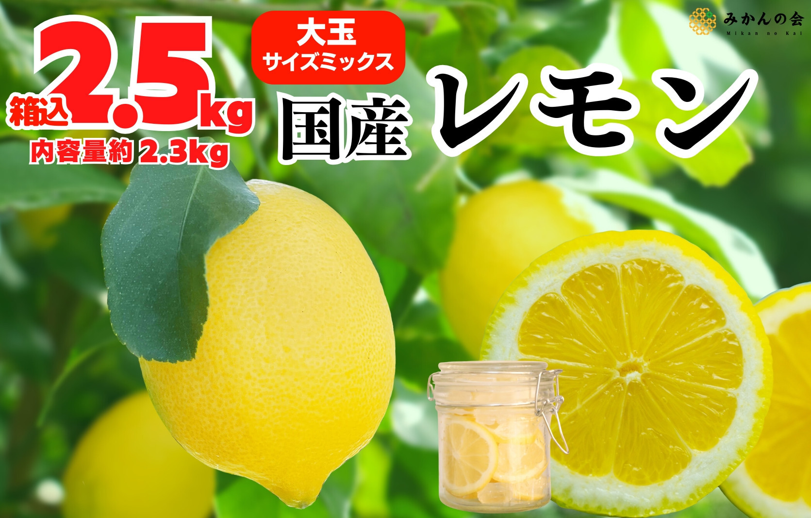 レモン&nbsp;大玉&nbsp;国産&nbsp;箱込2.5kg(内容量約2.3kg)&nbsp;秀品&nbsp;3L&nbsp;4L&nbsp;5L&nbsp;サイズミックス&nbsp;和歌山県有田産&nbsp;【みかんの会】
