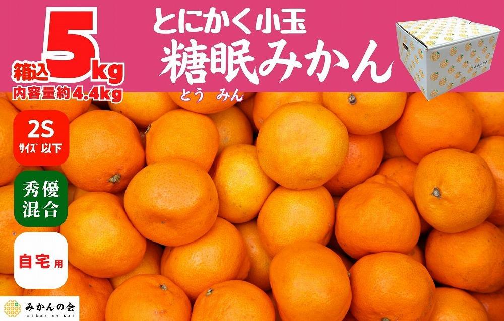 熟成 みかん とにかく 小玉 箱込5kg ( 内容量 4.4kg ) 2Sサイズ以下 秀品 優品 混合 有田みかん 和歌山産 産地直送 家庭用 【みかんの会】