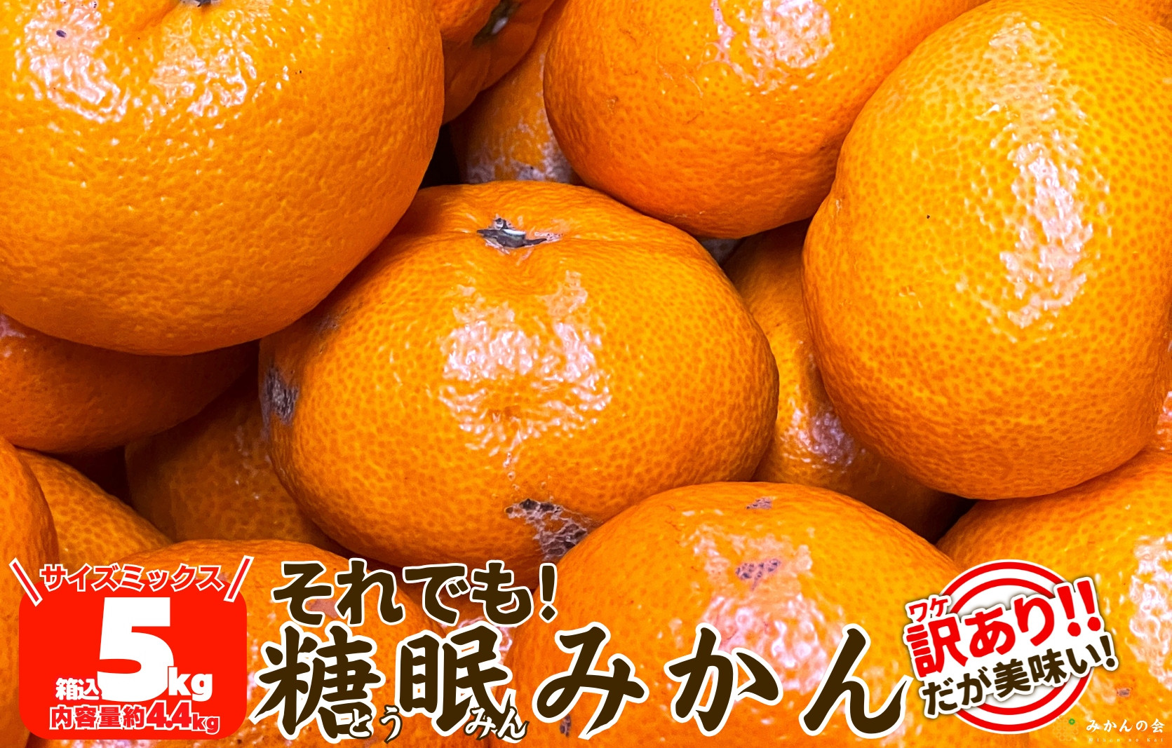 ［先行予約］訳あり それでも 熟成みかん 箱込5kg ( 内容量 4.4kg ) サイズミックス Ｂ品 有田みかん 和歌山県産 産地直送 家庭用 【みかんの会】