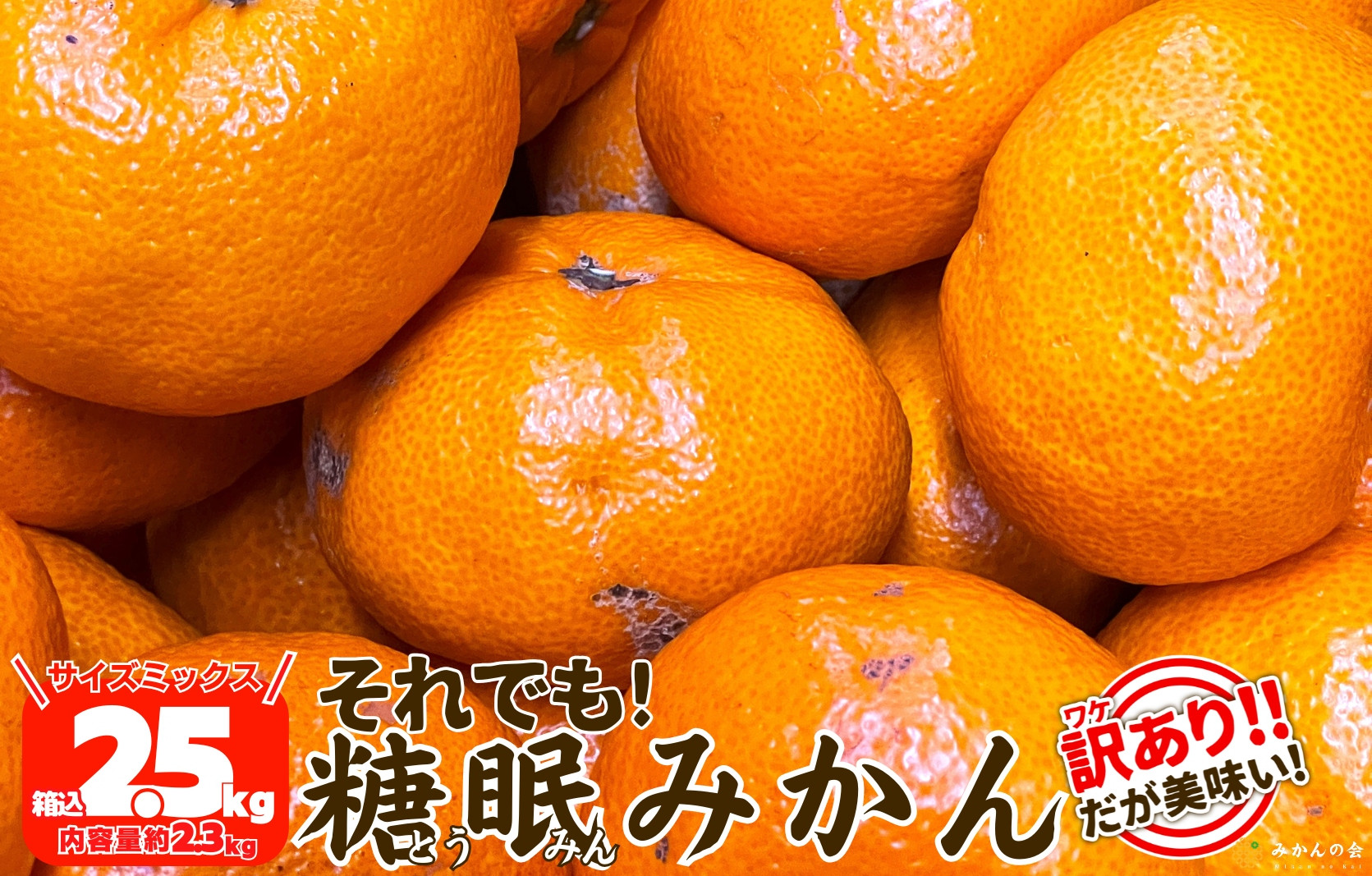 ［先行予約］訳あり&nbsp;それでも&nbsp;熟成みかん&nbsp;箱込2.5kg&nbsp;(&nbsp;内容量&nbsp;2.3kg&nbsp;)&nbsp;サイズミックス&nbsp;Ｂ品&nbsp;有田みかん&nbsp;和歌山県産&nbsp;産地直送&nbsp;家庭用&nbsp;みかんの会&nbsp;みかん&nbsp;ミカン&nbsp;蜜柑&nbsp;温州みかん&nbsp;柑橘&nbsp;果物&nbsp;フルーツ&nbsp;人気&nbsp;和歌山県&nbsp;果実&nbsp;甘味&nbsp;酸味