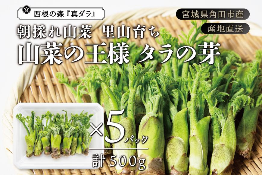 産地直送 朝採れ山菜 タラの芽 500g 山菜 天ぷら 天婦羅 パスタ 炒め物 お浸し 美味しい ご当地 取り寄せ 旬 料理 調理 ごはん 人気 おすすめ グルメ 食品 宮城