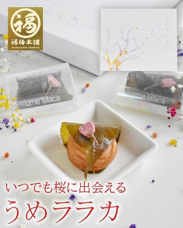 紀州南高梅 うめララカ 桜葉と桜花を添えて【ギフト 化粧箱入り 贈答用】