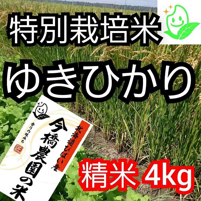 【希少品種】今橋農園の「ゆきひかり」4kg　精米　特別栽培米　令和５年産