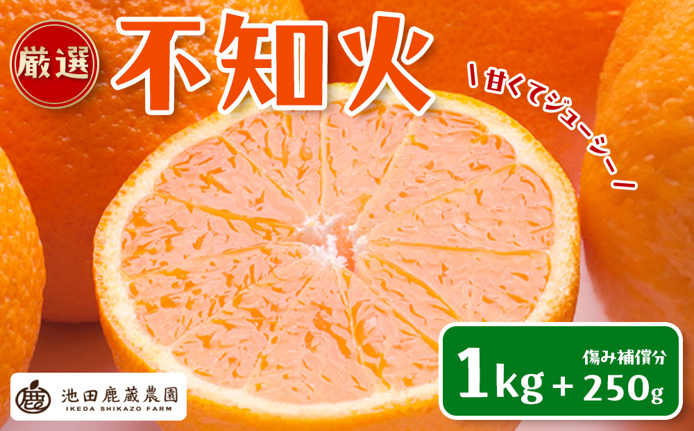 ［先行予約］厳選&nbsp;不知火1kg+250g（傷み補償分）［デコポンと同品種・人気の春みかん］