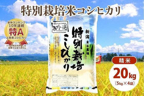 令和5年産|新潟上越三和産|特別栽培米コシヒカリ(従来種)20kg(5kg×4)精米