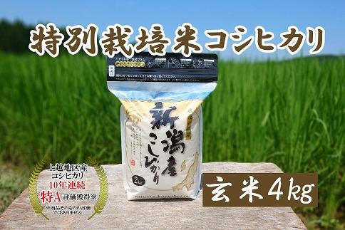 令和5年産｜新潟上越三和産｜特別栽培米コシヒカリ（従来種）4kg（2kg×2）玄米