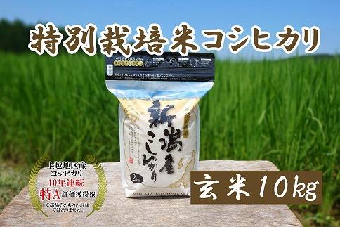 令和5年産｜新潟上越三和産｜特別栽培米コシヒカリ（従来種）10kg（2kg×5）玄米
