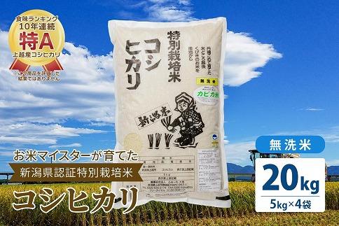 お米マイスターが育てた特別栽培米 精米コシヒカリ 上越産 令和5年産