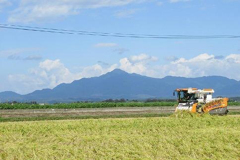 お米マイスターが育てた特別栽培米 精米コシヒカリ 上越産 令和5年産