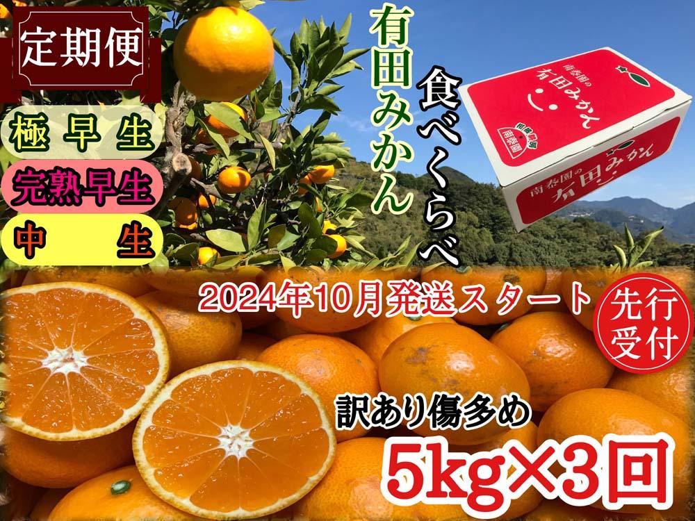 定期便 先行受付 2024年 10月発送スタート 訳あり 傷多め 5kg × 3回 コース 有田みかん 食べくらべ 3種 南泰園