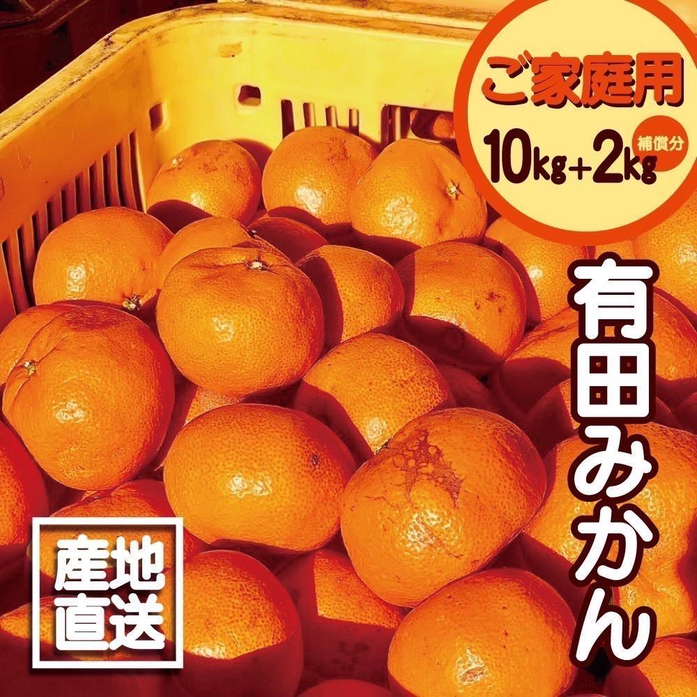 【訳あり】有田みかん&nbsp;10kg＋2kg&nbsp;保証分&nbsp;2S～3Lサイズ混合
