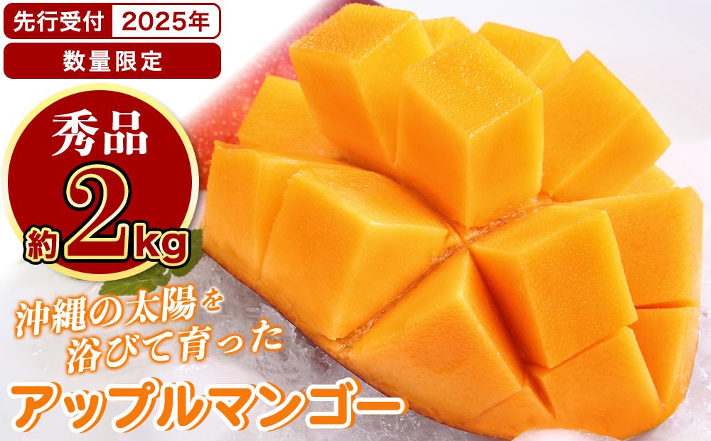 ★【先行受付】【2025年発送】アップルマンゴー 秀品 南城市 約2kg (3～5玉)