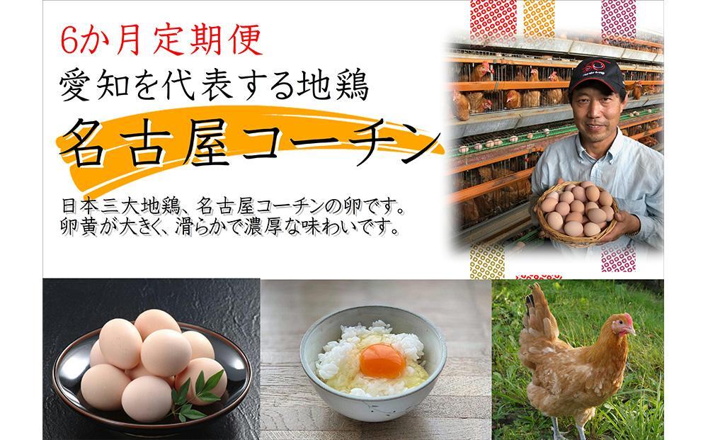 名古屋コーチンの卵」（30個）　[ふるぽ]　本当に美味しい食べ物は調味料の味に負けません！　JTBのふるさと納税サイト　6か月定期便】日本三大地鶏！！　「純系