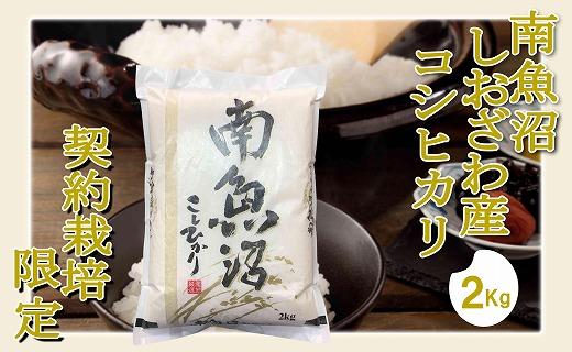 【令和7年産※精米2Kg】契約栽培限定 南魚沼しおざわ産コシヒカリ