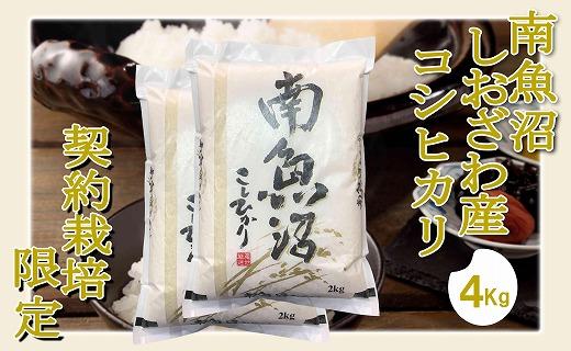 【令和7年産】【精米4Kg】契約栽培限定&nbsp;南魚沼しおざわ産コシヒカリ