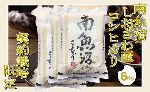 【令和7年産】【精米6Kg】契約栽培限定&nbsp;南魚沼しおざわ産コシヒカリ