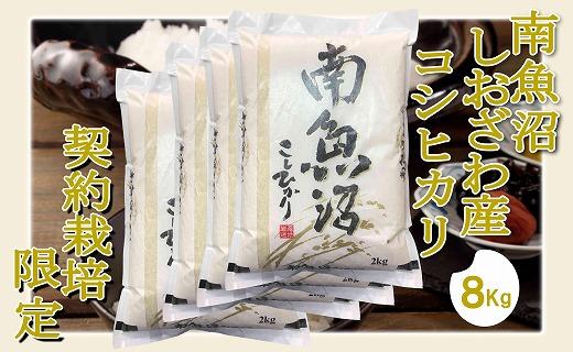 【令和7年産】【精米8Kg】契約栽培限定&nbsp;南魚沼しおざわ産コシヒカリ