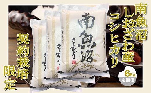 【令和7年産】【定期便&nbsp;精米６Kg×６ヶ月】契約栽培限定&nbsp;南魚沼しおざわ産コシヒカリ
