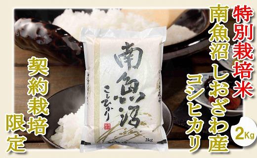 【精米２Kg】特別栽培 生産者限定  南魚沼しおざわ産コシヒカリ