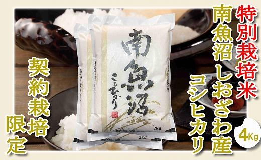 【令和7年産】【精米４Kg】特別栽培&nbsp;生産者限定&nbsp;&nbsp;南魚沼しおざわ産コシヒカリ
