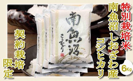 【令和7年産】【精米６Kg】特別栽培&nbsp;生産者限定&nbsp;&nbsp;南魚沼しおざわ産コシヒカリ