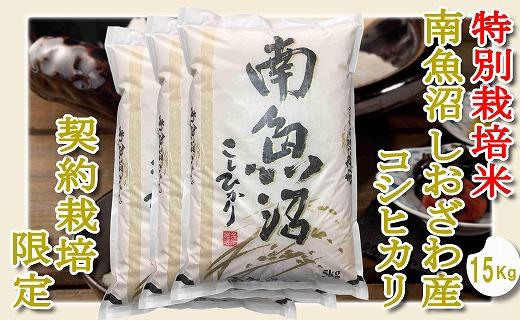 【令和7年産】【精米１５Kg】特別栽培&nbsp;生産者限定&nbsp;&nbsp;南魚沼しおざわ産コシヒカリ